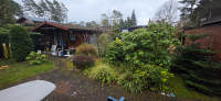 Objekt-Info